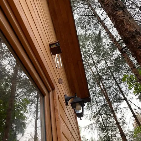 Lasoterapia * Sopieszyno