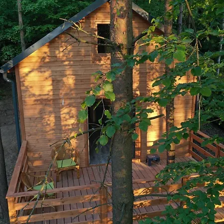 Chalet Lasoterapia Sopieszyno